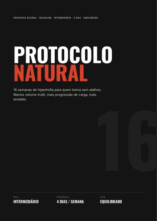Capa do protocolo em PDF